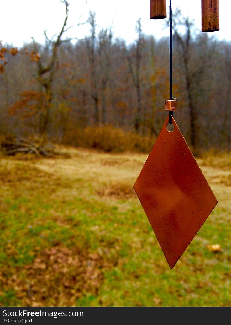 Shallow Focus Photography of Red Hanging Decor