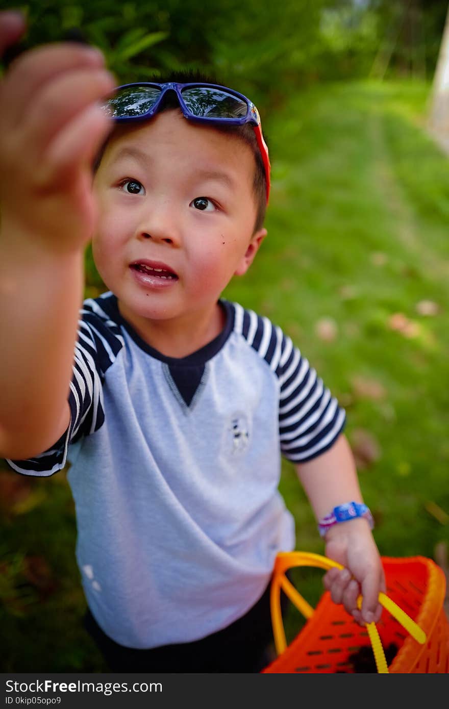 Cute little boy gathering harvest mulberry berries