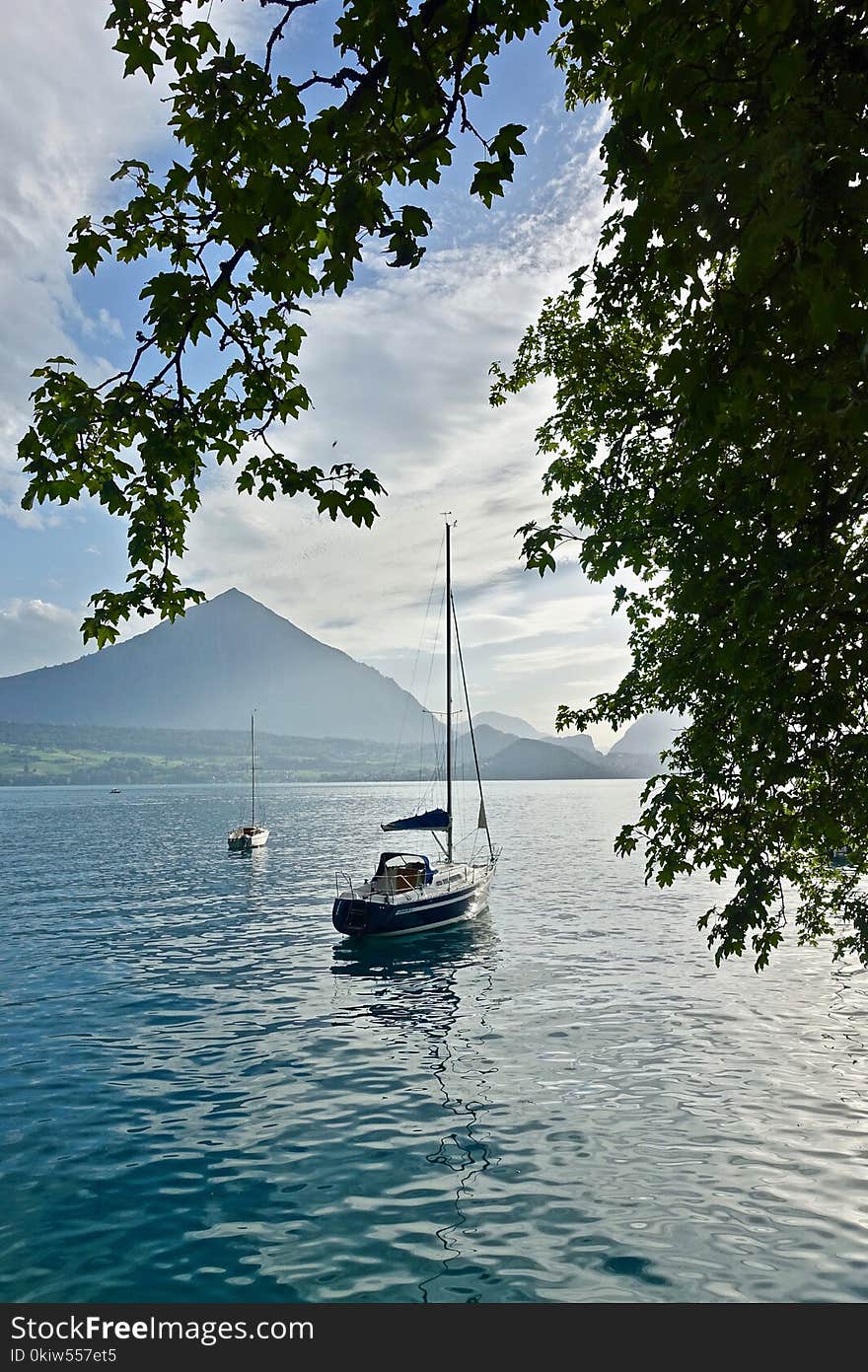 Water, Nature, Waterway, Tree