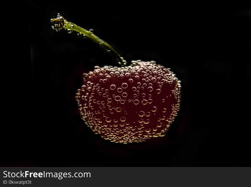 Still Life Photography, Organism, Macro Photography, Fruit