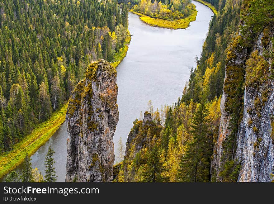 Nature, Wilderness, Nature Reserve, Tree