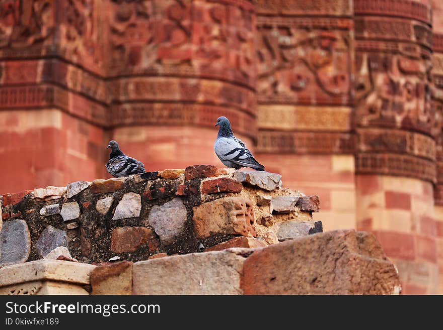 Wall, Archaeological Site, Ancient History, Brick