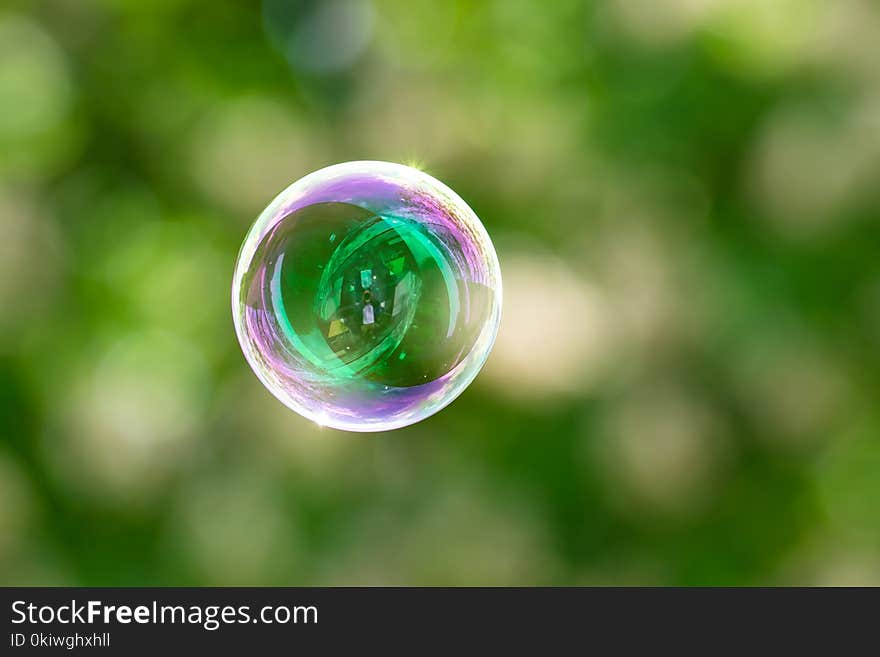 Green, Water, Macro Photography, Close Up