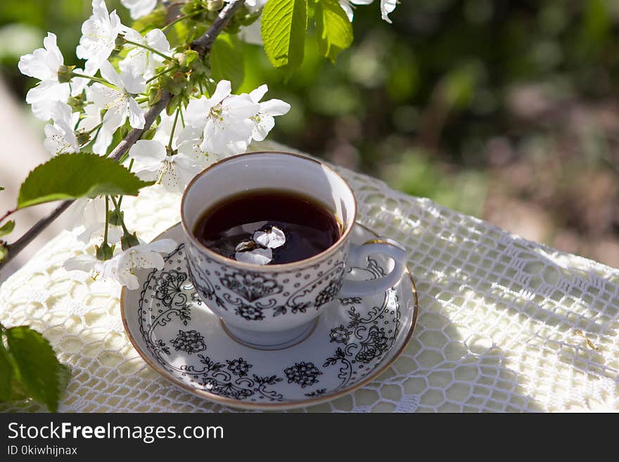 Coffee Cup, Flower, Tableware, Tea