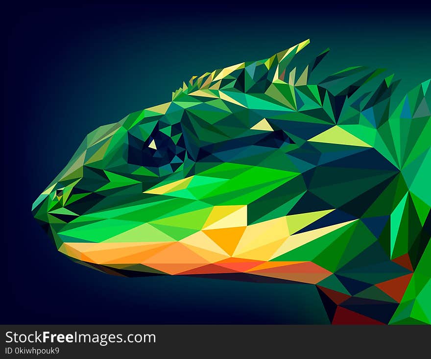 Green, Leaf, Organism, Graphics