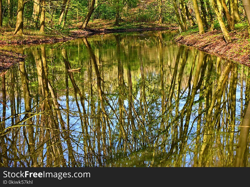 Water, Reflection, Nature, Nature Reserve