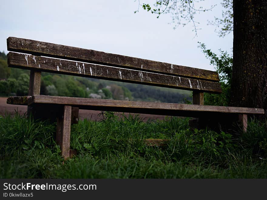 Bench, Grass, Wood, Girder Bridge