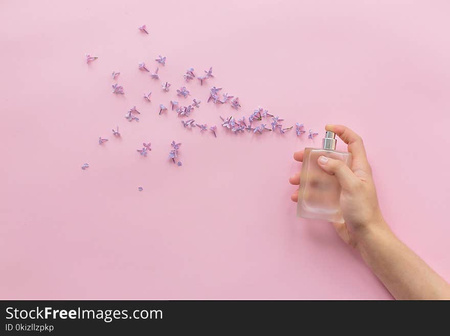 Hand holding stylish bottle of perfume with spray of lilac flowers on pink background. creative trendy flat lay with space for text. modern image. perfumery and floral scent concept