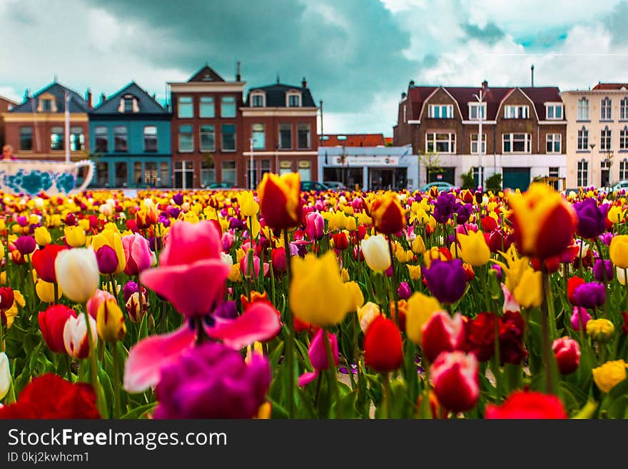 View on the beautiful buildings facades on the central square in Delft city, Netherland. Dark Sky.