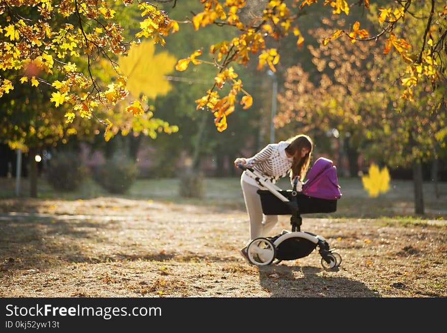 Woman In Grey Pants Holding Black And Purple Stroller