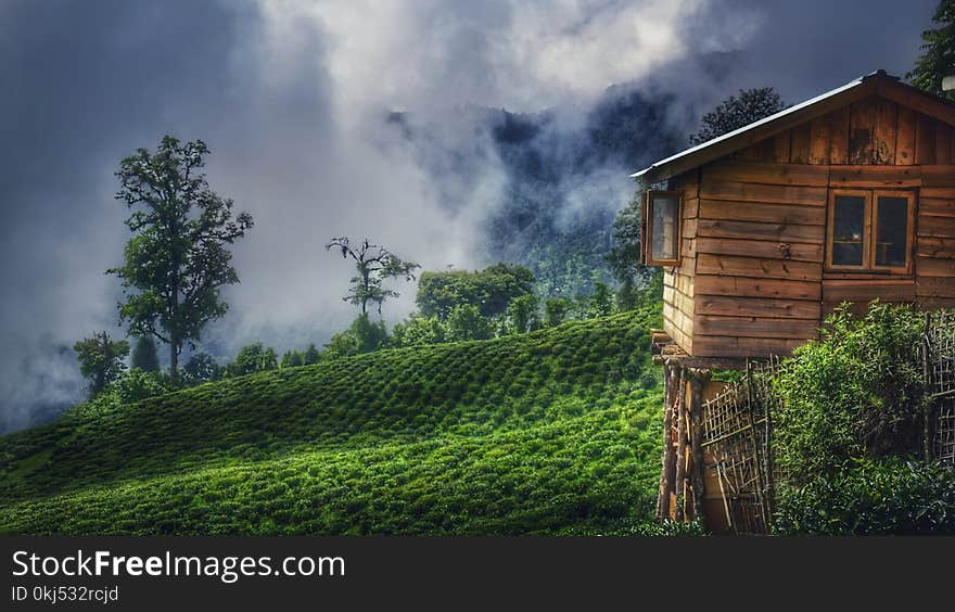 Brown Wooden House On Green Grass Field