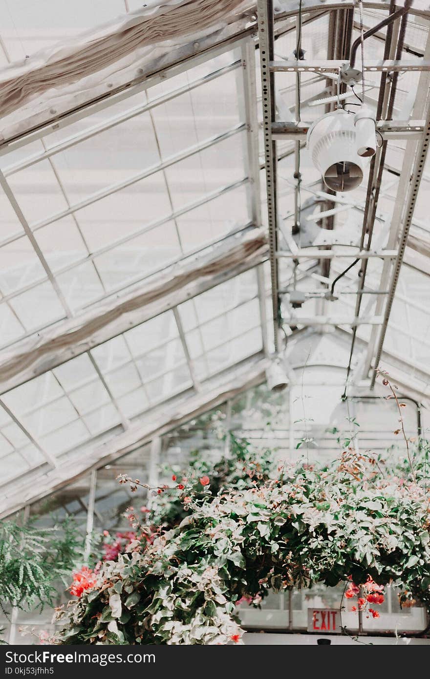 Interior View of Glass House