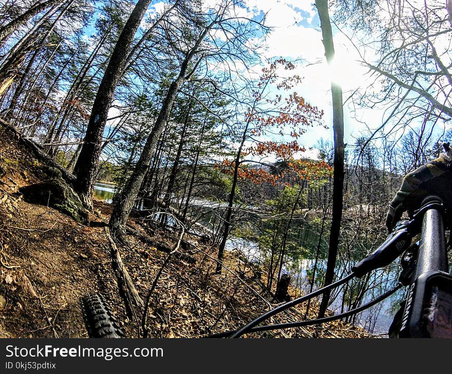 Person in Mountain Bike Rides Near Water and Trees