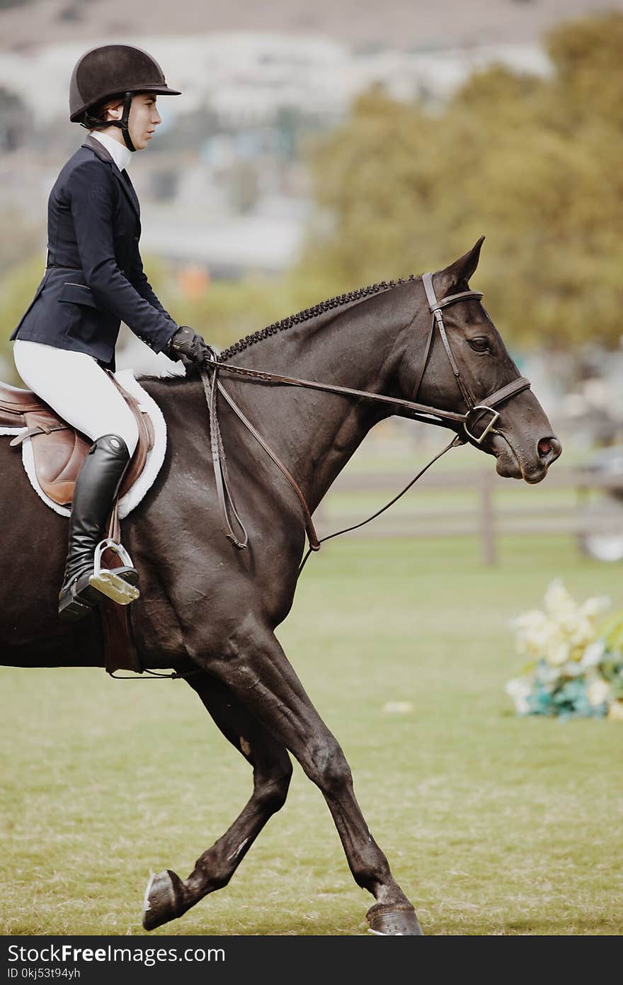 Woman Riding on Black Horse Focus Photography