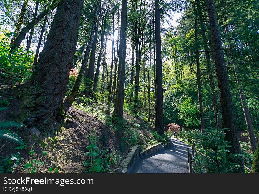 Portland, Oregon, USA - April 26, 2018 : Beautiful Japanese Garden in Portland at spring season