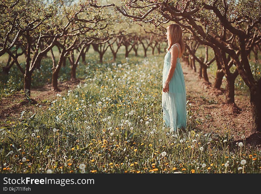 Woman enjoying sun in an orchard. Serenity and harmony