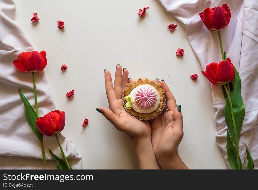 Cupcake in hand and red tulips on white background. Cupcake in hand and red tulips on white background