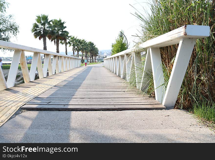 Walkway, Boardwalk, Bridge, Recreation