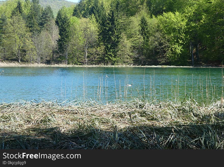 Water, Nature Reserve, Body Of Water, Lake