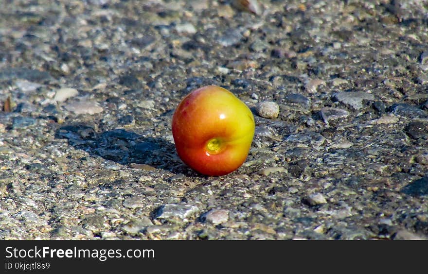 Tomato, Produce, Fruit, Potato And Tomato Genus