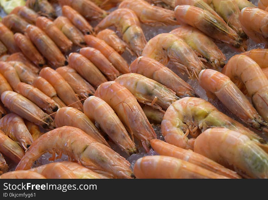 Shrimp, Seafood, Dendrobranchiata, Caridean Shrimp