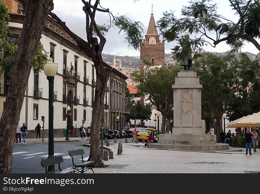 Town, City, Plaza, Tree