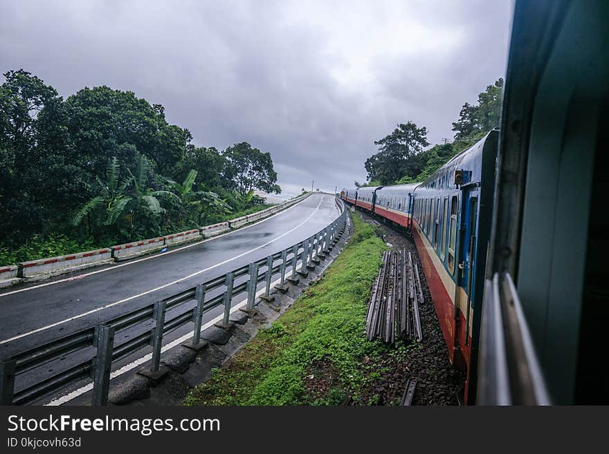 Track, Transport, Rail Transport, Tree