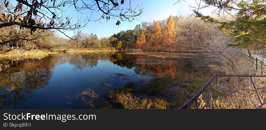 Reflection, Water, Nature, Nature Reserve