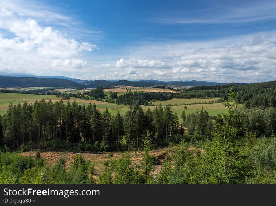 Ecosystem, Wilderness, Sky, Grassland