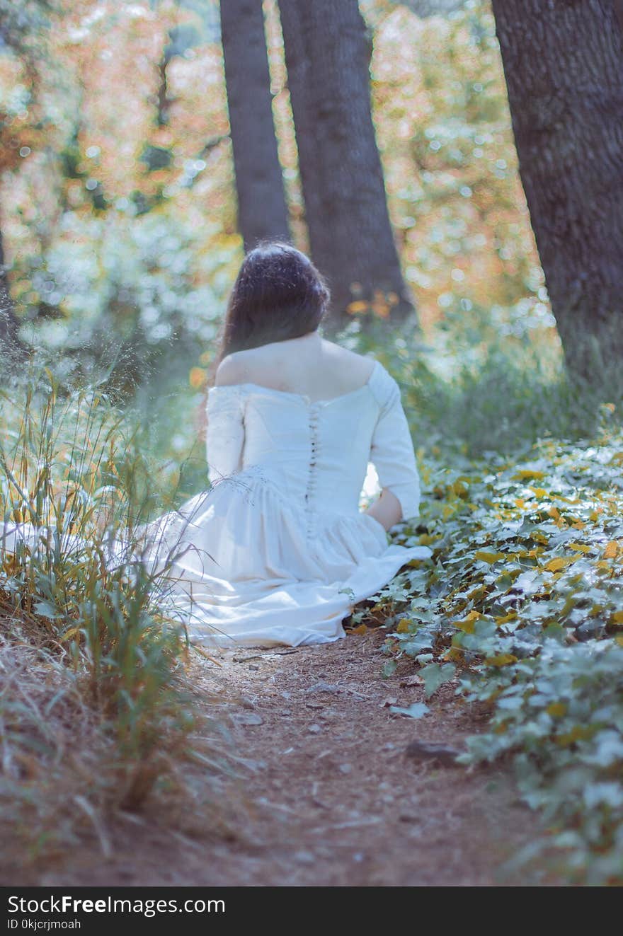 Photograph, Nature, Tree, Girl