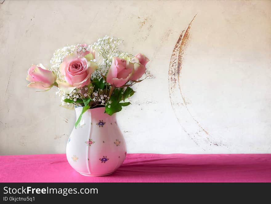 Flower, Pink, Vase, Cut Flowers