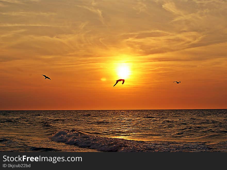 Horizon, Sky, Sea, Sunset