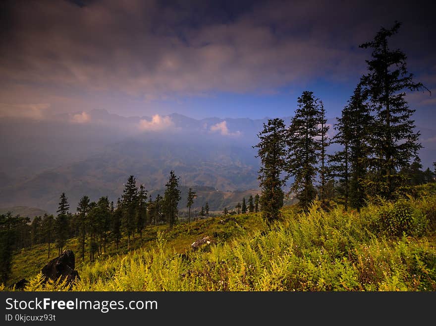 Sky, Nature, Wilderness, Ecosystem