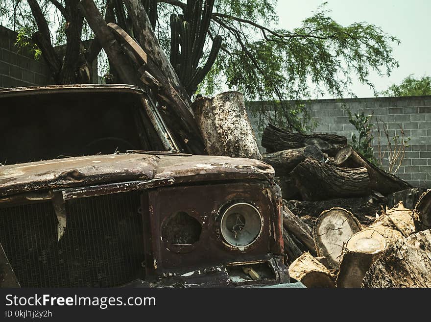 Brown Vehicle Beside Tree Trunks