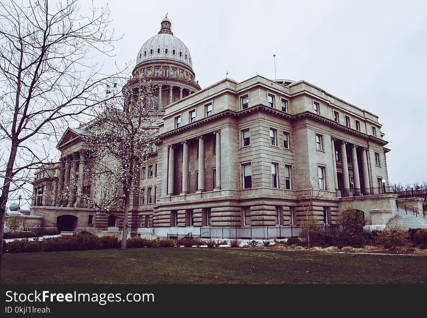 Low Angle Photography of Building