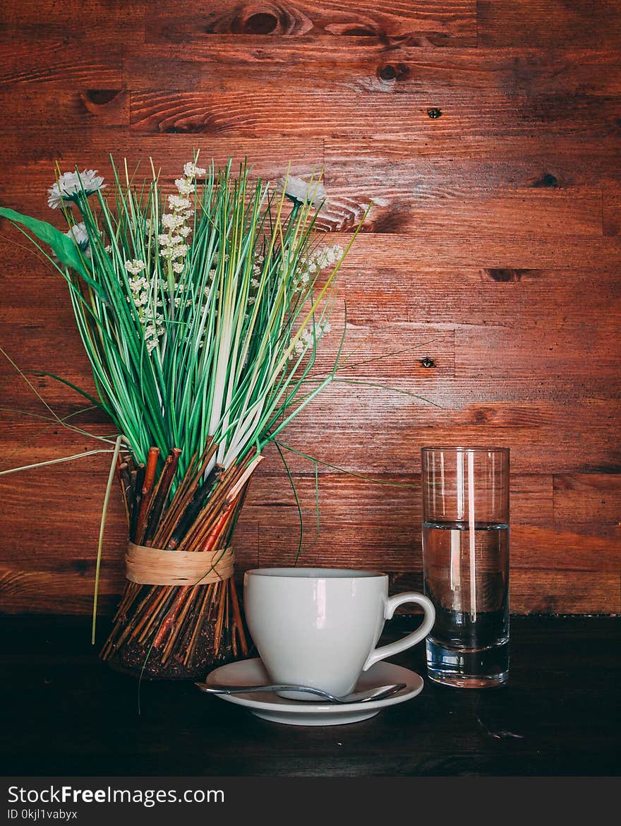 Green Leafed Plants Near White Ceramic Teacup and Saucer