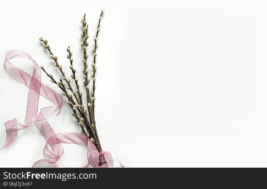 Green Flower Bouquet on White Background