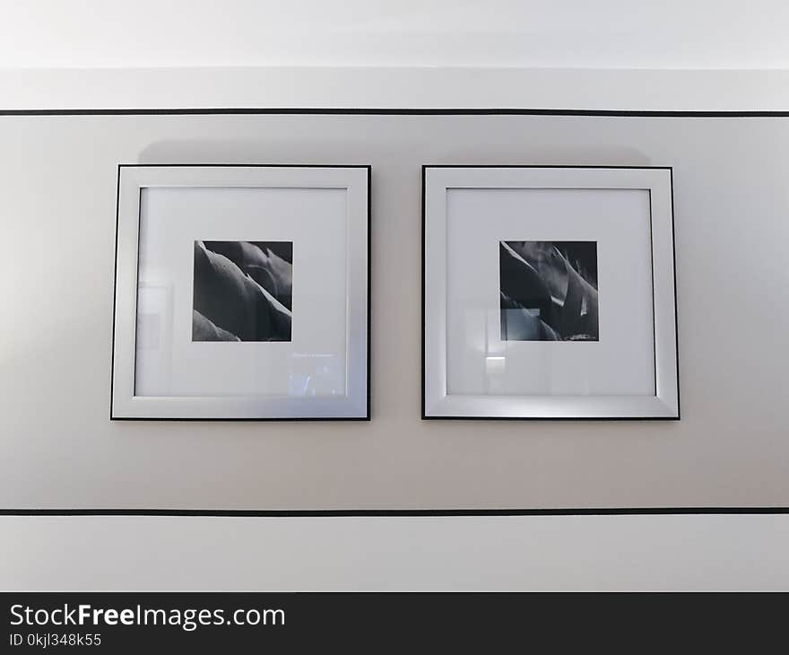 Two Gray and Black Flower Paintings on Wall Inside the Room