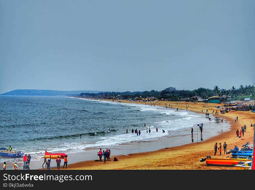 People on Beach Surrounded With Tree