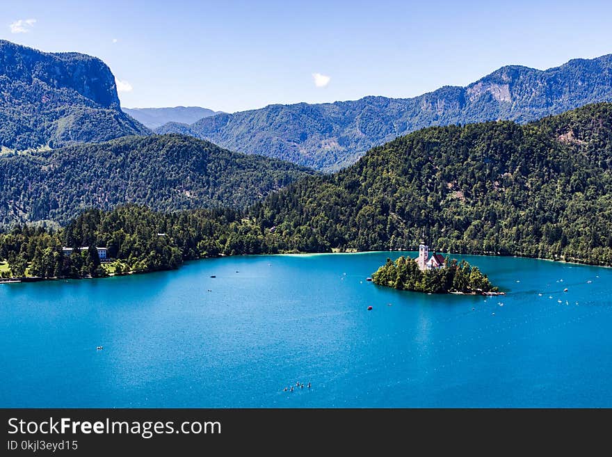 Green Trees Near Body of Water Under Blue Sky