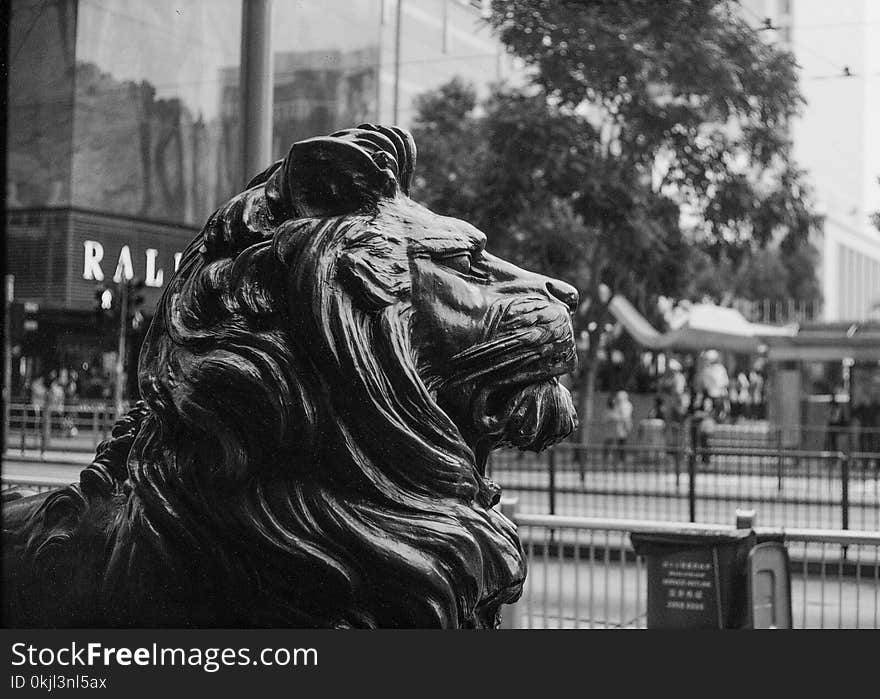 Grayscale Photo of Lion Statue