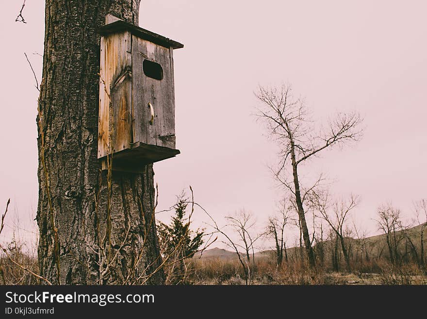 Photography of Brown Wooden Birdhouse