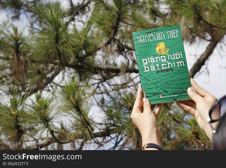 Person Holding Green Novel Book