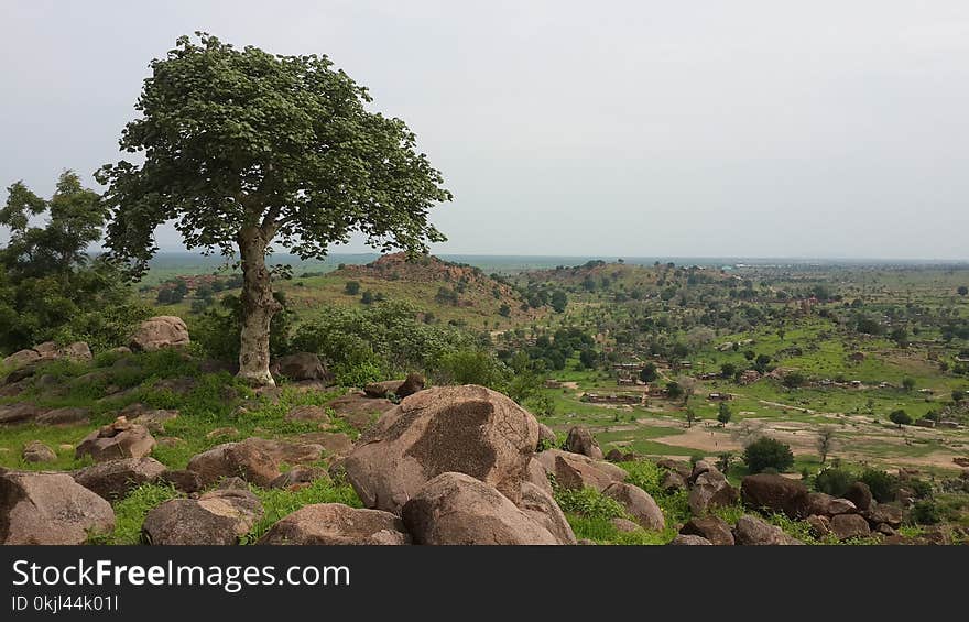 Landscape Photo of Green Grass Field