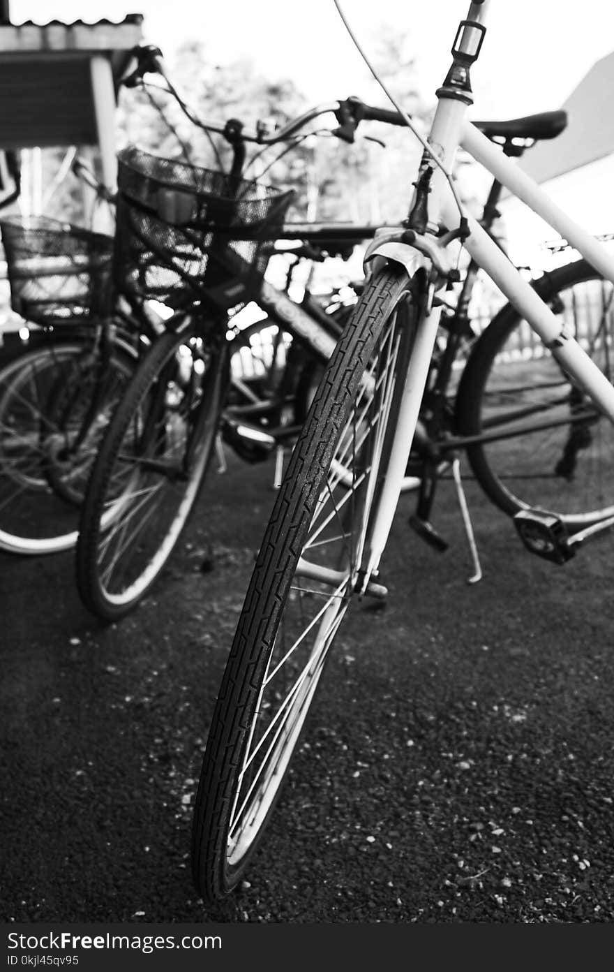 Grayscale Photo of Bicycles