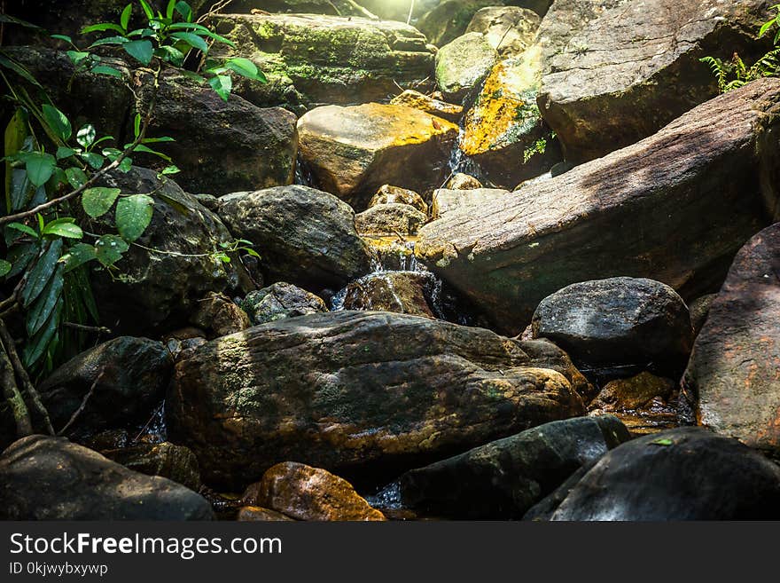 A Small Waterfall In The Rain Forest