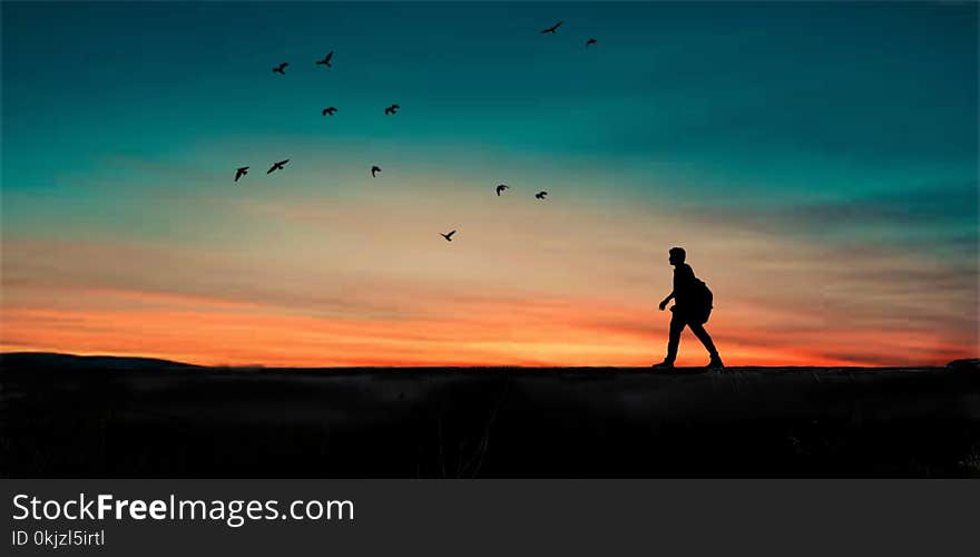 Silhouette of Person Walking