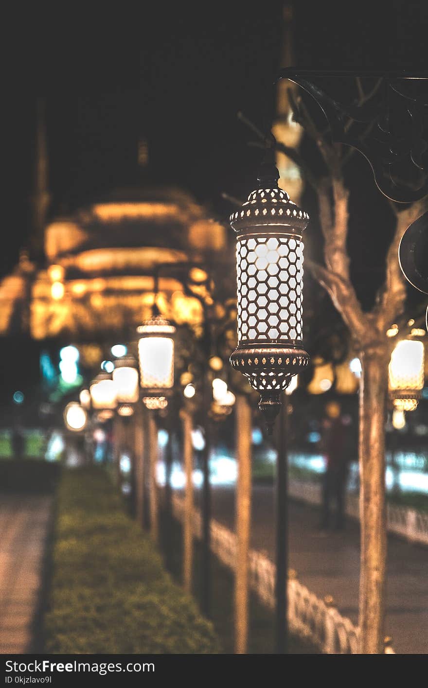 Photograph of Lined Post Lamps during Nightime