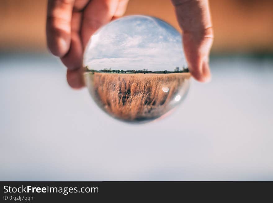 Photo of Person Holding Clear Glass Ball