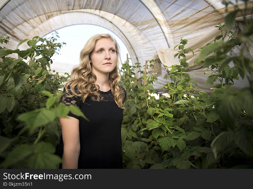 Woman at the Back of Green Plants